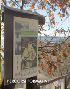 PERCORSI FORMATIVI